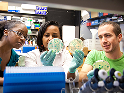 Photo of researchers in a lab