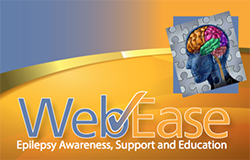 WebEase logo graphic